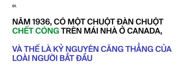 Ai đã "phát minh" ra stress: Tác nhân của 80% bệnh tật trên đời, bao gồm cả ung thư?- Ảnh 3.