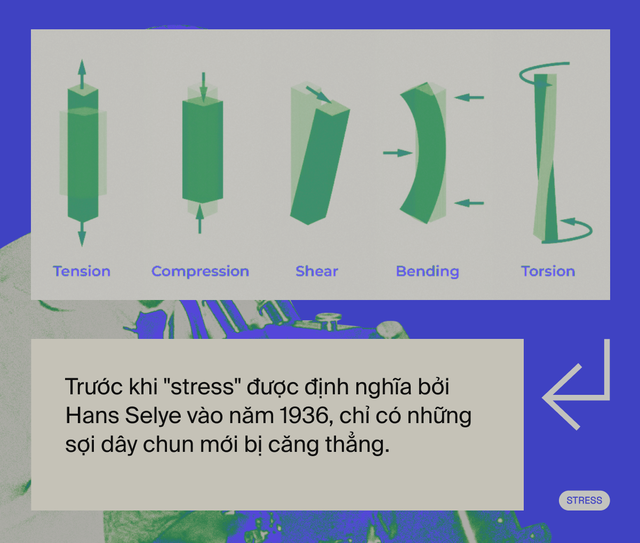 Ai đã "phát minh" ra stress: Tác nhân của 80% bệnh tật trên đời, bao gồm cả ung thư?- Ảnh 5. Ai đã "phát minh" ra stress: Tác nhân của 80% bệnh tật trên đời, bao gồm cả ung thư?- Ảnh 5.
