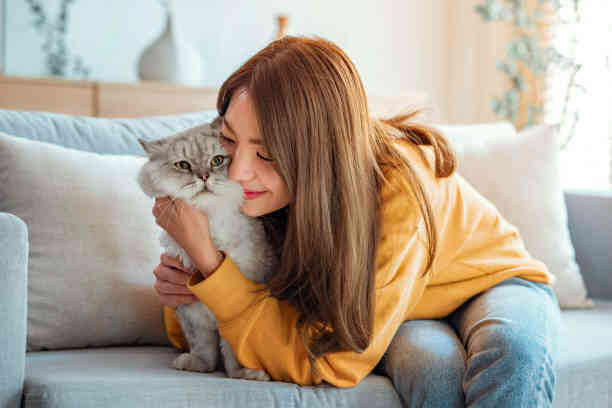 Bí ẩn: Người nuôi mèo có nguy cơ mắc bệnh tâm thần cao gấp đôi người bình thường?