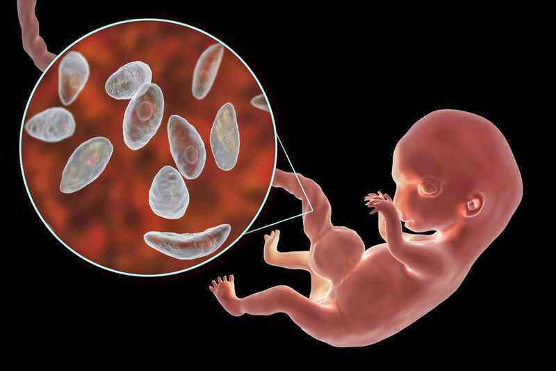 Bí ẩn: Người nuôi mèo có nguy cơ mắc bệnh tâm thần cao gấp đôi người bình thường?- Ảnh 7. Bí ẩn: Người nuôi mèo có nguy cơ mắc bệnh tâm thần cao gấp đôi người bình thường?- Ảnh 7.