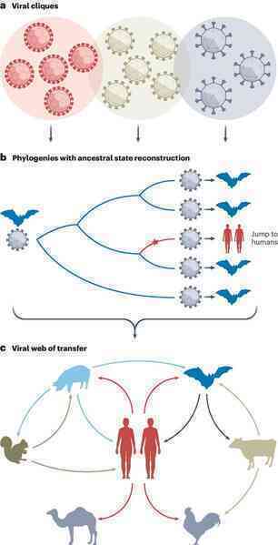 Con người truyền số lượng virus sang động vật nhiều gấp đôi số lượng chúng ta lây từ chúng!- Ảnh 5.