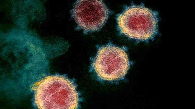 Con người truyền số lượng virus sang động vật nhiều gấp đôi số lượng chúng ta lây từ chúng!- Ảnh 6. Con người truyền số lượng virus sang động vật nhiều gấp đôi số lượng chúng ta lây từ chúng!- Ảnh 6.