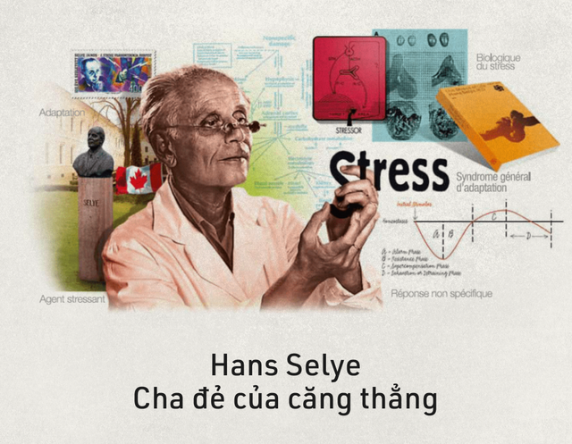 Stress làm tăng nguy cơ ung thư: Tự chấm điểm theo thang đo này để biết bạn có thuộc nhóm nguy hiểm hay không?