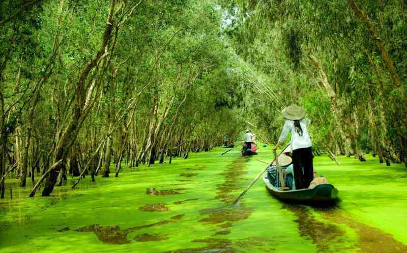 Giải mã dòng sông quyến rũ nơi cực nam Tổ quốc, được xếp vào loại quý hiếm bậc nhất thế giới- Ảnh 2.