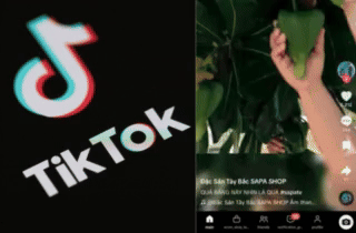 Hết bị “đăng xuất” Facebook, netizen than trời vì TikTok chập chờn