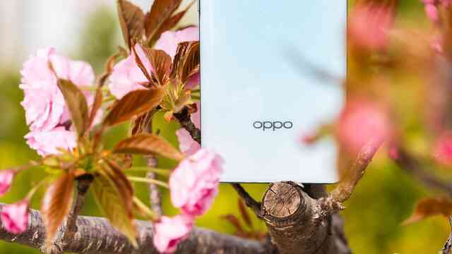 Đây là smartphone tầm trung sắp ra mắt của OPPO: Thiết kế cao cấp như Find X7, có chống nước IP69 xịn hơn cả iPhone 15 Pro Max mà giá chỉ khoảng 6 triệu đồng- Ảnh 12. Đây là smartphone tầm trung sắp ra mắt của OPPO: Thiết kế cao cấp như Find X7, có chống nước IP69 xịn hơn cả iPhone 15 Pro Max mà giá chỉ khoảng 6 triệu đồng- Ảnh 12.