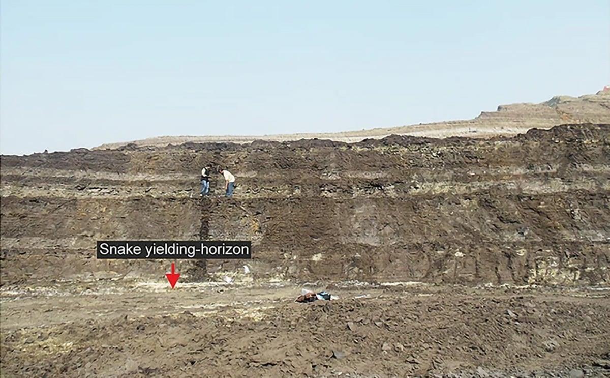 Ấn Độ: Lộ diện hóa thạch "rắn thần" dài 15 m từ siêu lục địa đã mất