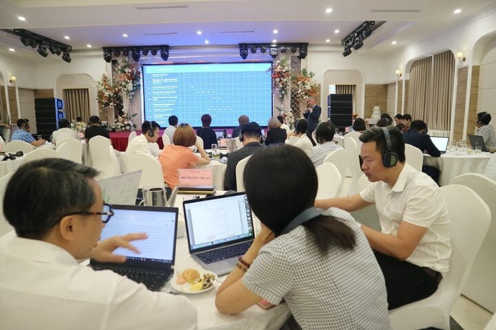 Tăng cường năng lực thích ứng của Việt Nam với biến đổi khí hậu- Ảnh 3. Tăng cường năng lực thích ứng của Việt Nam với biến đổi khí hậu- Ảnh 3.
