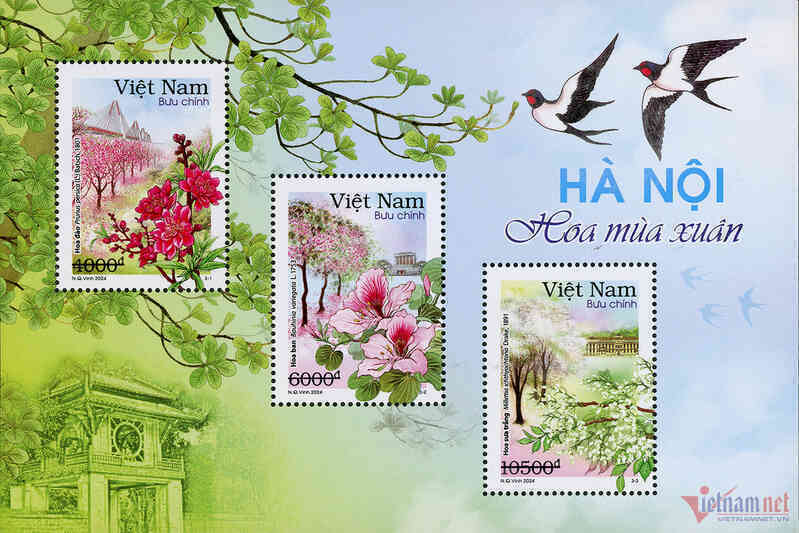W-tem-buu-chinh-12-mua-hoa-ha-noi-2.jpg