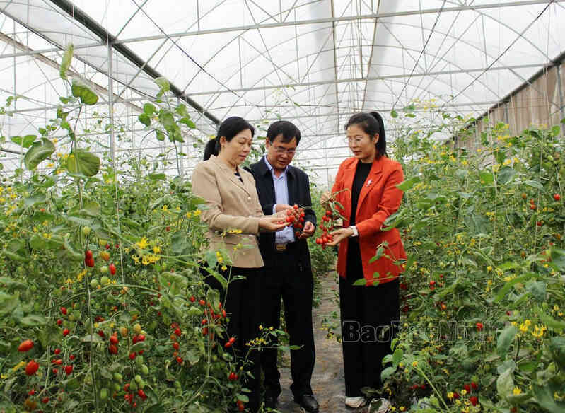 Bắc Ninh hỗ trợ nông dân chuyển đổi số trong sản xuất nông nghiệp