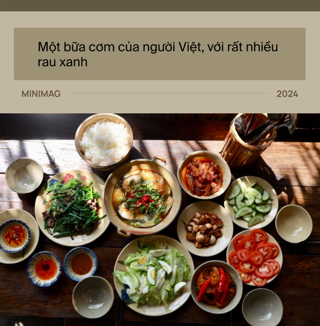 Đất nước gầy nhất thế giới đang béo lên nhanh nhất: Việt Nam!- Ảnh 14. Đất nước gầy nhất thế giới đang béo lên nhanh nhất: Việt Nam!- Ảnh 14.