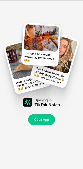 TikTok chuẩn bị ra mắt một ứng dụng chia sẻ ảnh cạnh tranh với Instagram- Ảnh 2.