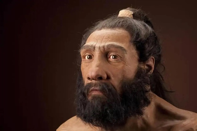 Phát hiện ra 3 mẫu virus cổ nhất lịch sử trên hóa thạch Neanderthal 50.000 năm tuổi