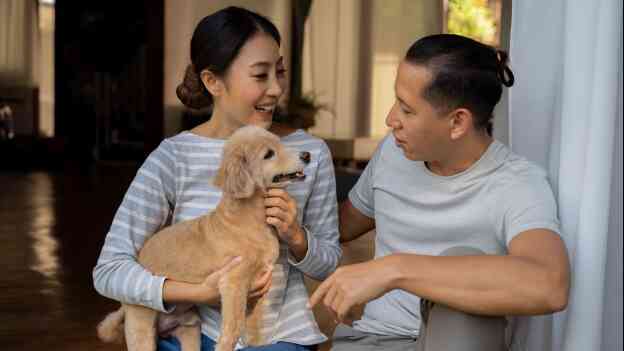 Chưa kịp tỏ tình ngày Valentine thì xem ngay dưới đây "thực hành" tỏ tình vào ngày 20/5- Ảnh 2. Chưa kịp tỏ tình ngày Valentine thì xem ngay dưới đây "thực hành" tỏ tình vào ngày 20/5- Ảnh 2.