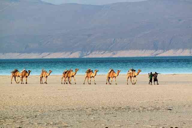 Djibouti: Vì sao một quốc gia ven biển nhỏ bé ở phía đông bắc châu Phi lại được mệnh danh là “Tiền đồn Biển Đỏ”?- Ảnh 7. Djibouti: Vì sao một quốc gia ven biển nhỏ bé ở phía đông bắc châu Phi lại được mệnh danh là “Tiền đồn Biển Đỏ”?- Ảnh 7.