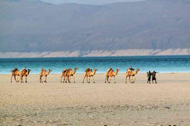 Djibouti: Vì sao một quốc gia ven biển nhỏ bé ở phía đông bắc châu Phi lại được mệnh danh là “Tiền đồn Biển Đỏ”?- Ảnh 7.