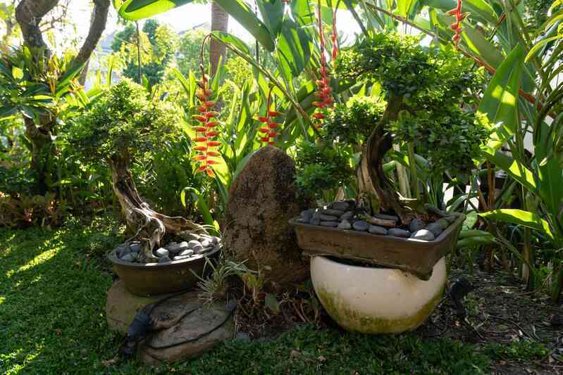 Biệt thự nhà vườn gần 20 năm tuổi của HH Hà Kiều Anh: Phong vị Á Đông cổ kính, khẳng định không bao giờ bán- Ảnh 5. Biệt thự nhà vườn gần 20 năm tuổi của HH Hà Kiều Anh: Phong vị Á Đông cổ kính, khẳng định không bao giờ bán- Ảnh 5.