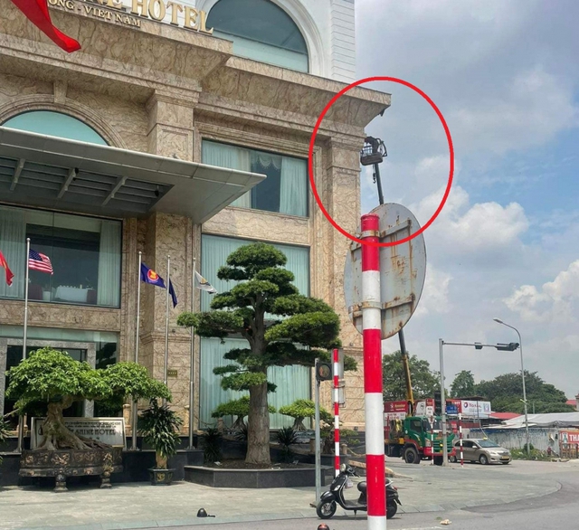 Vụ ong đốt người ở Hải Phòng: Tuyệt đối đừng la hét, đừng xua tay, chuyên gia nói bạn chỉ nên làm duy nhất một điều này- Ảnh 4. Vụ ong đốt người ở Hải Phòng: Tuyệt đối đừng la hét, đừng xua tay, chuyên gia nói bạn chỉ nên làm duy nhất một điều này- Ảnh 4.