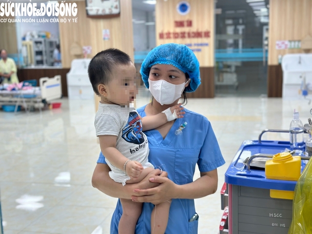 Vụ ong đốt người ở Hải Phòng: Tuyệt đối đừng la hét, đừng xua tay, chuyên gia nói bạn chỉ nên làm duy nhất một điều này- Ảnh 5. Vụ ong đốt người ở Hải Phòng: Tuyệt đối đừng la hét, đừng xua tay, chuyên gia nói bạn chỉ nên làm duy nhất một điều này- Ảnh 5.