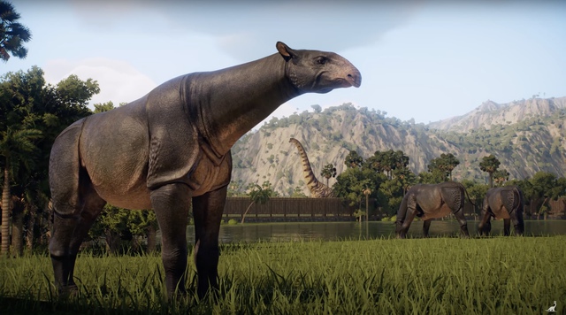 Động vật có vú trên cạn lớn nhất từng sống là Paraceratherium - Thực sự là nó lớn đến mức nào?