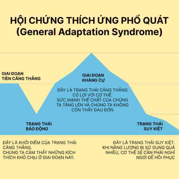 Giải mã trạng thái “siêu sức mạnh” của người hùng đập tường trong vụ cháy ở Trung Kính: Đâu mới là giới hạn thực sự của thể chất con người?- Ảnh 12. Giải mã trạng thái “siêu sức mạnh” của người hùng đập tường trong vụ cháy ở Trung Kính: Đâu mới là giới hạn thực sự của thể chất con người?- Ảnh 12.