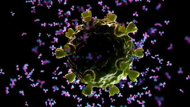 Lần đầu tiên tạo ra vắc xin HIV kích hoạt kháng thể miễn dịch hiếm ở người