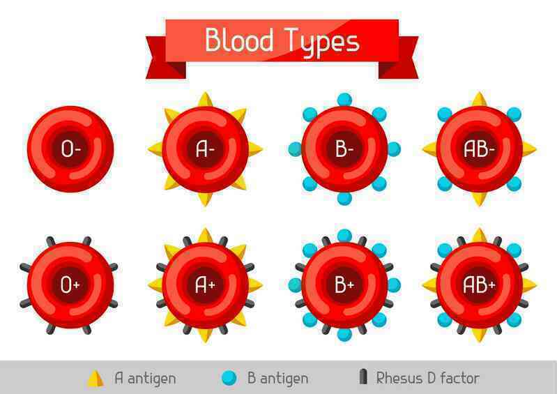 Biến máu nhóm A, B thành máu nhóm O: Tại sao đột phá này xứng đáng một Giải Nobel Y học?- Ảnh 7. Biến máu nhóm A, B thành máu nhóm O: Tại sao đột phá này xứng đáng một Giải Nobel Y học?- Ảnh 7.