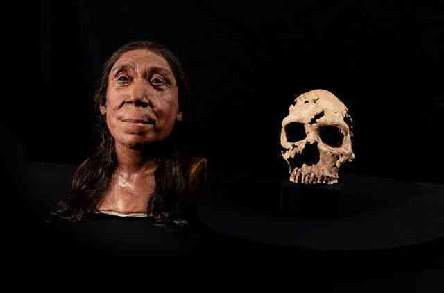 Khuôn mặt thực sự của người Neanderthal trông như thế nào?- Ảnh 2. Khuôn mặt thực sự của người Neanderthal trông như thế nào?- Ảnh 2.