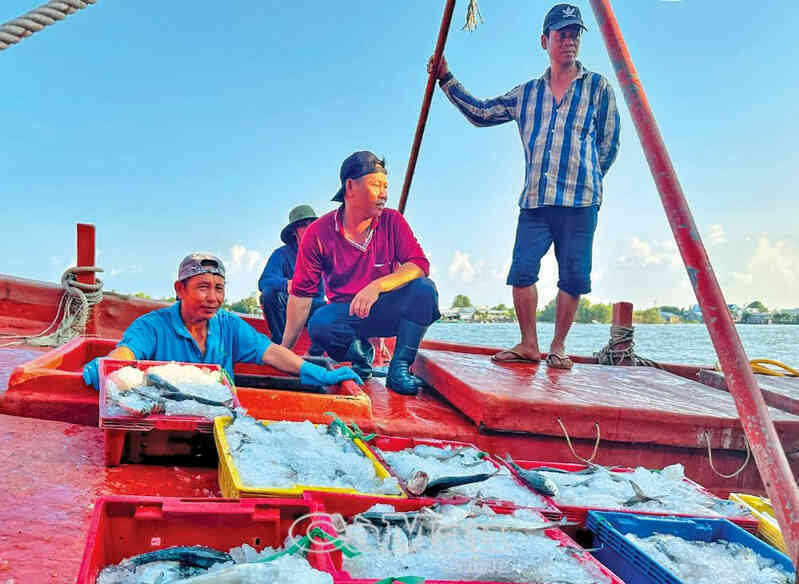 Cà Mau số hoá quản lý khai thác thủy hải sản