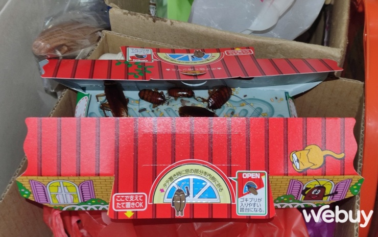Dùng thử bẫy gián trong Doreamon: Giá chỉ 7.000đ, để qua đêm đã “triệu hồi” được cả gia tộc gián- Ảnh 13. Dùng thử bẫy gián trong Doreamon: Giá chỉ 7.000đ, để qua đêm đã “triệu hồi” được cả gia tộc gián- Ảnh 13.