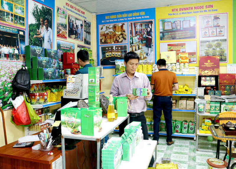 Nhiều sản phẩm mang thương hiệu của các HTX đã đăng ký mã vạch được bày bán tại gian hàng trước trụ sở Liên minh Hợp tác xã tỉnh. Ảnh: HOÀNG NGỌC