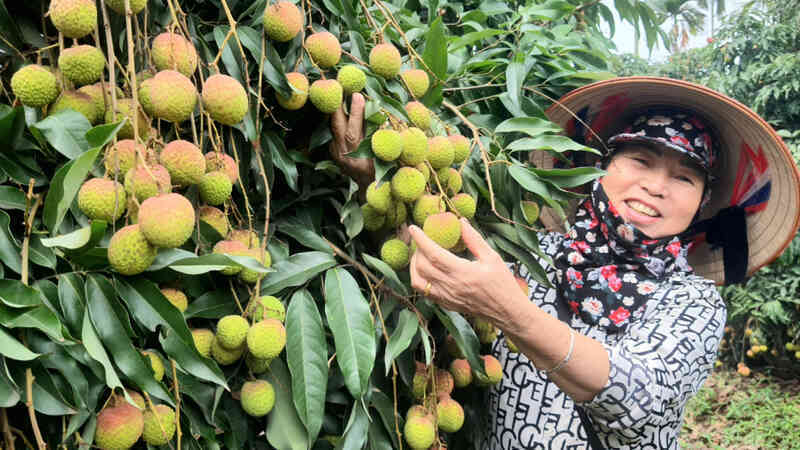 Ứng dụng số trong sản xuất, tiêu thụ nông sản