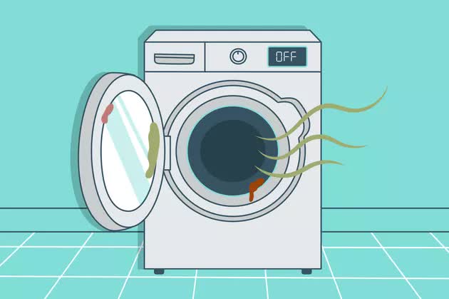 Nhà vi trùng học tiết lộ "độ bẩn" của máy giặt: Trong đó có vi khuẩn, virus, nấm mốc và cả phân người