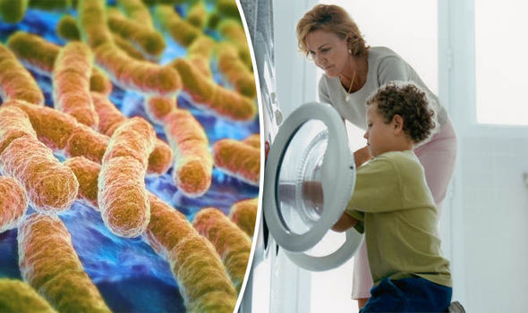 Nhà vi trùng học tiết lộ "độ bẩn" của máy giặt: Trong đó có vi khuẩn, virus, nấm mốc và cả phân người- Ảnh 4. Nhà vi trùng học tiết lộ "độ bẩn" của máy giặt: Trong đó có vi khuẩn, virus, nấm mốc và cả phân người- Ảnh 4.