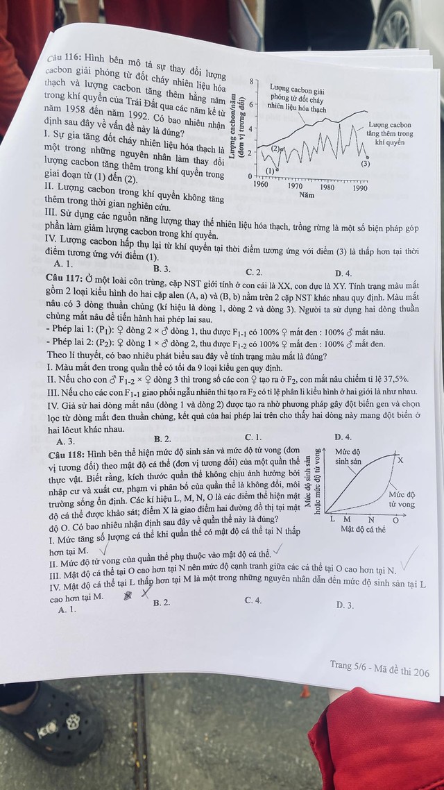 ĐÃ CÓ gợi ý đáp án môn SINH HỌC tốt nghiệp THPT 2024, cập nhật ngay TẠI ĐÂY - Ảnh 6. ĐÃ CÓ gợi ý đáp án môn SINH HỌC tốt nghiệp THPT 2024, cập nhật ngay TẠI ĐÂY - Ảnh 6.