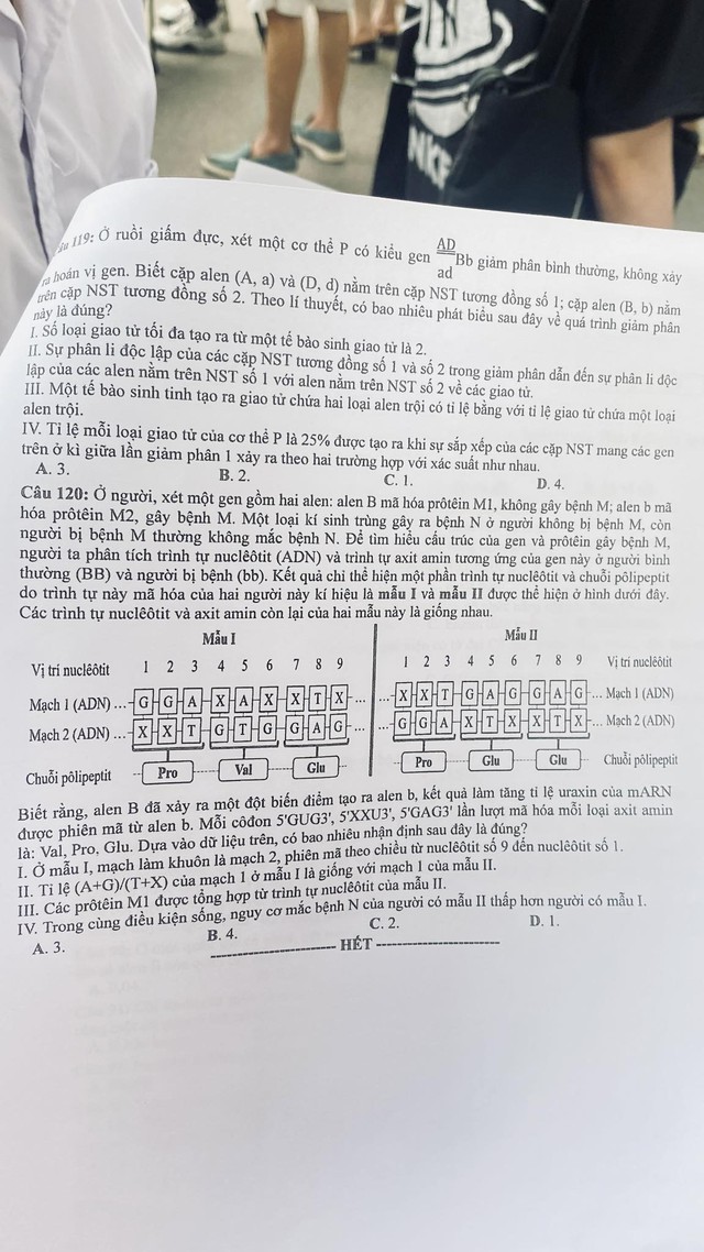 ĐÃ CÓ gợi ý đáp án môn SINH HỌC tốt nghiệp THPT 2024, cập nhật ngay TẠI ĐÂY - Ảnh 7. ĐÃ CÓ gợi ý đáp án môn SINH HỌC tốt nghiệp THPT 2024, cập nhật ngay TẠI ĐÂY - Ảnh 7.