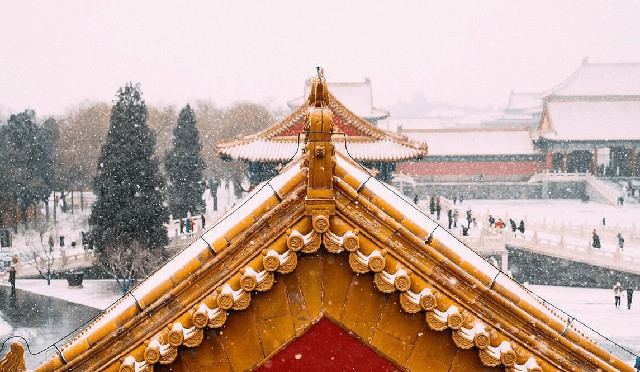 Tại sao trên nóc Tử Cấm Thành không bao giờ có phân chim? - Ảnh 4. Tại sao trên nóc Tử Cấm Thành không bao giờ có phân chim? - Ảnh 4.