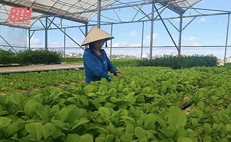 Phú Lộc đẩy mạnh chuyển đổi số nâng cao chất lượng đời sống người dân