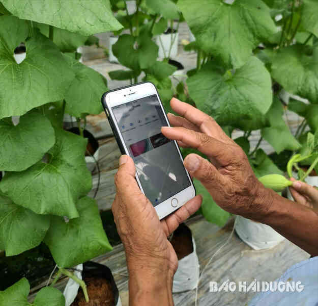 Hải Dương phấn đấu 90% hồ sơ công việc cấp tỉnh được xử lý trên môi trường mạng