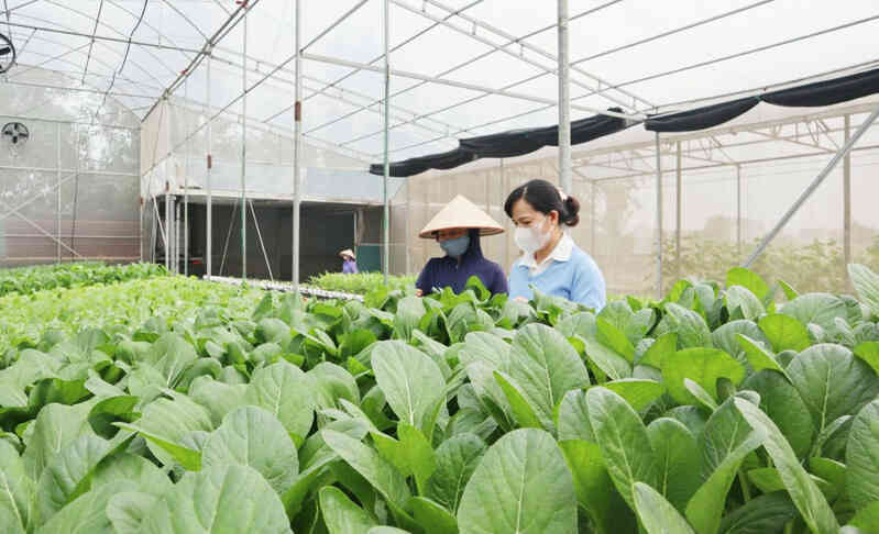 Nhiều giải pháp chuyển đổi số để hướng đến nông thôn giàu mạnh, văn minh