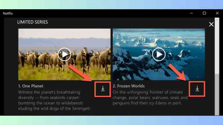 Cách tải phim và chương trình truyền hình trên Netflix- Ảnh 3. Cách tải phim và chương trình truyền hình trên Netflix- Ảnh 3.