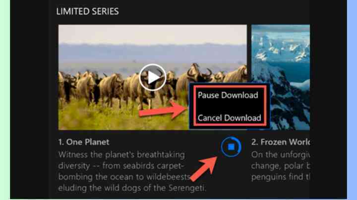 Cách tải phim và chương trình truyền hình trên Netflix- Ảnh 4. Cách tải phim và chương trình truyền hình trên Netflix- Ảnh 4.