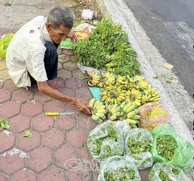 Cà Mau: Dùng không gian mạng lan toả sự tử tế