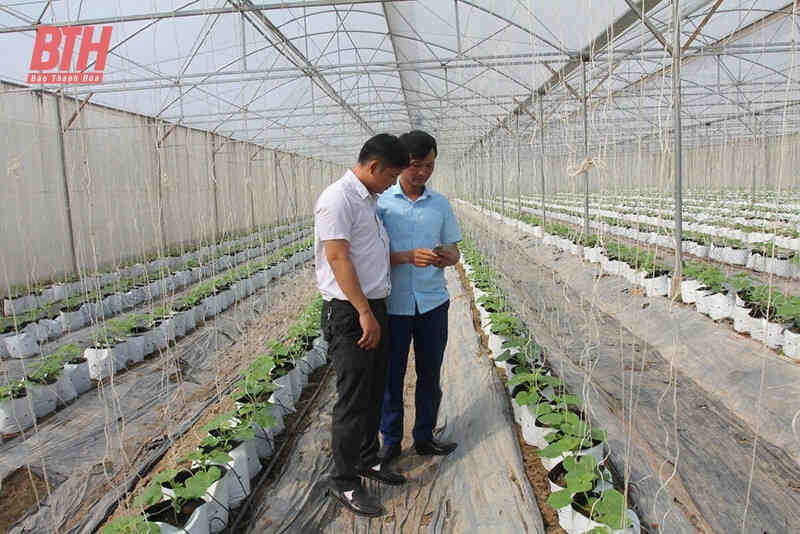 Thanh Hóa đẩy mạnh chuyển đổi số trong các hợp tác xã