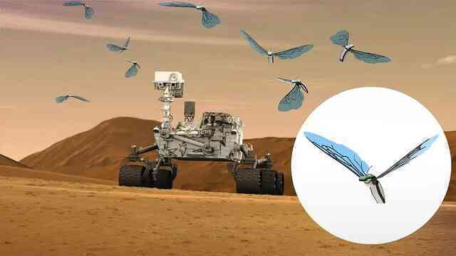 Ong robot 'Marsbees': Đội quân thám hiểm tí hon chinh phục Sao Hỏa