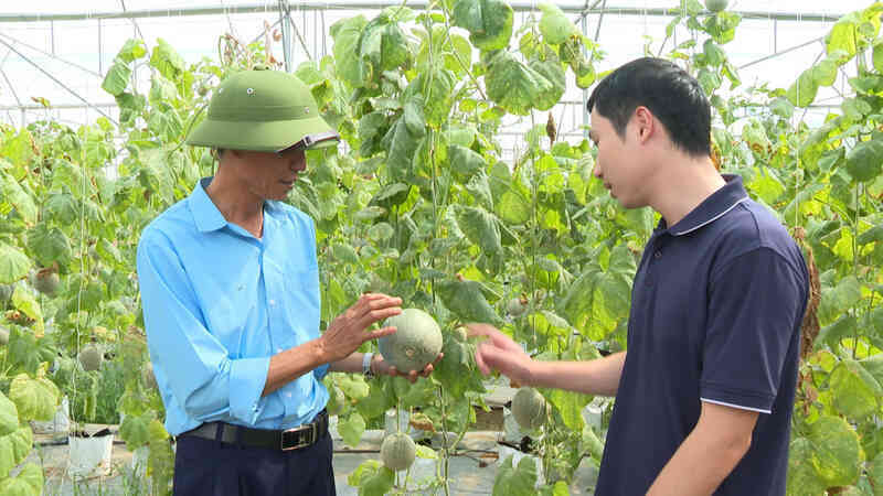 Đông Triều: Phát huy vai trò tổ chức Đảng trong chuyển đổi số