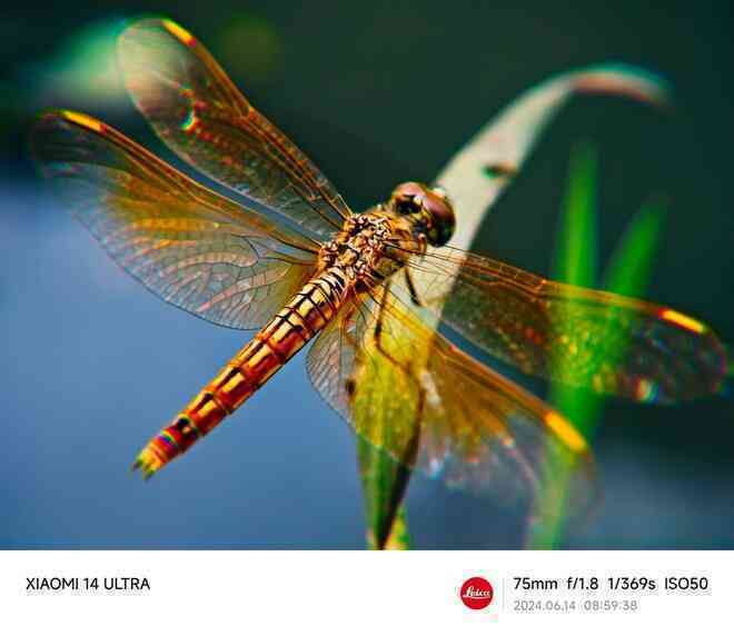 Mang Xiaomi 14 Ultra đi Ninh Bình chụp sen: Nhiều mức zoom lợi thế vô cùng, chụp macro rất vui nhưng có 1 điểm trừ to cần xử lý gấp- Ảnh 14. Mang Xiaomi 14 Ultra đi Ninh Bình chụp sen: Nhiều mức zoom lợi thế vô cùng, chụp macro rất vui nhưng có 1 điểm trừ to cần xử lý gấp- Ảnh 14.