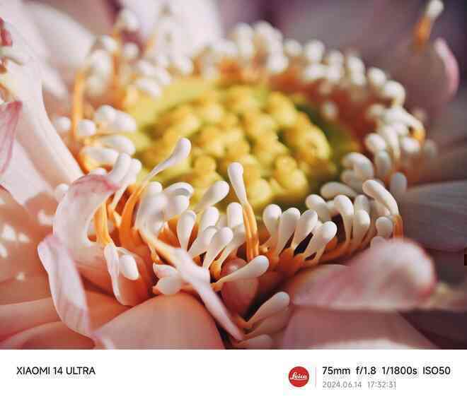 Mang Xiaomi 14 Ultra đi Ninh Bình chụp sen: Nhiều mức zoom lợi thế vô cùng, chụp macro rất vui nhưng có 1 điểm trừ to cần xử lý gấp- Ảnh 16. Mang Xiaomi 14 Ultra đi Ninh Bình chụp sen: Nhiều mức zoom lợi thế vô cùng, chụp macro rất vui nhưng có 1 điểm trừ to cần xử lý gấp- Ảnh 16.
