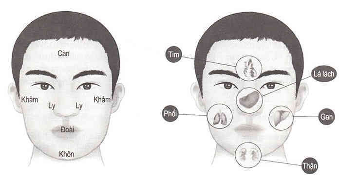 Đỉnh cao công nghệ quét mặt đoán bệnh của Trung Quốc: Nâng khái niệm "diện chẩn" trong Đông y lên một tầm cao mới