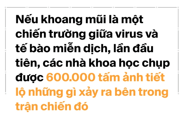 Thí nghiệm lịch sử với COVID: 36 người được trả hơn 5 tỷ đồng để nhỏ virus có độc lực vào mũi. Nếu là bạn, bạn có dám thử không?- Ảnh 4. Thí nghiệm lịch sử với COVID: 36 người được trả hơn 5 tỷ đồng để nhỏ virus có độc lực vào mũi. Nếu là bạn, bạn có dám thử không?- Ảnh 4.